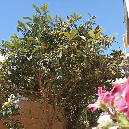 Al Nespolo - Centro Storico * Lipari (Isola Lipari)